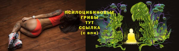 винт Баксан