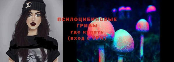 ПСИЛОЦИБИНОВЫЕ ГРИБЫ Балахна