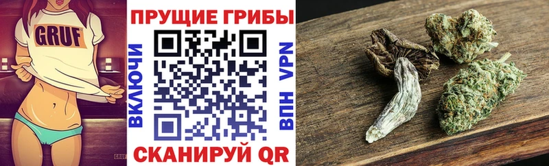 Псилоцибиновые грибы мухоморы  Краснотурьинск 